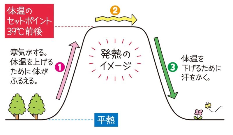 発熱の目安